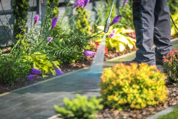 Best Pool Deck Cleaning in Fairfield, OH